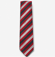 Red & Navy Striped Business Tie